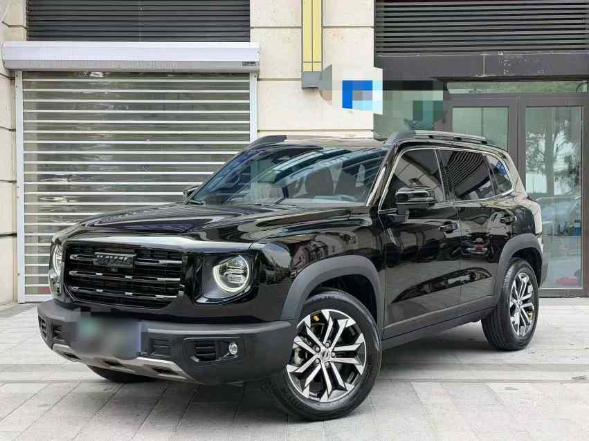 哈弗大狗 2022款 1.5T DCT两驱边牧版(1)
