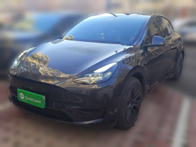 特斯拉 Model Y 2024款 后轮驱动版