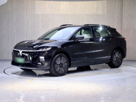 岚图汽车 岚图知音 2024款 四驱全球版