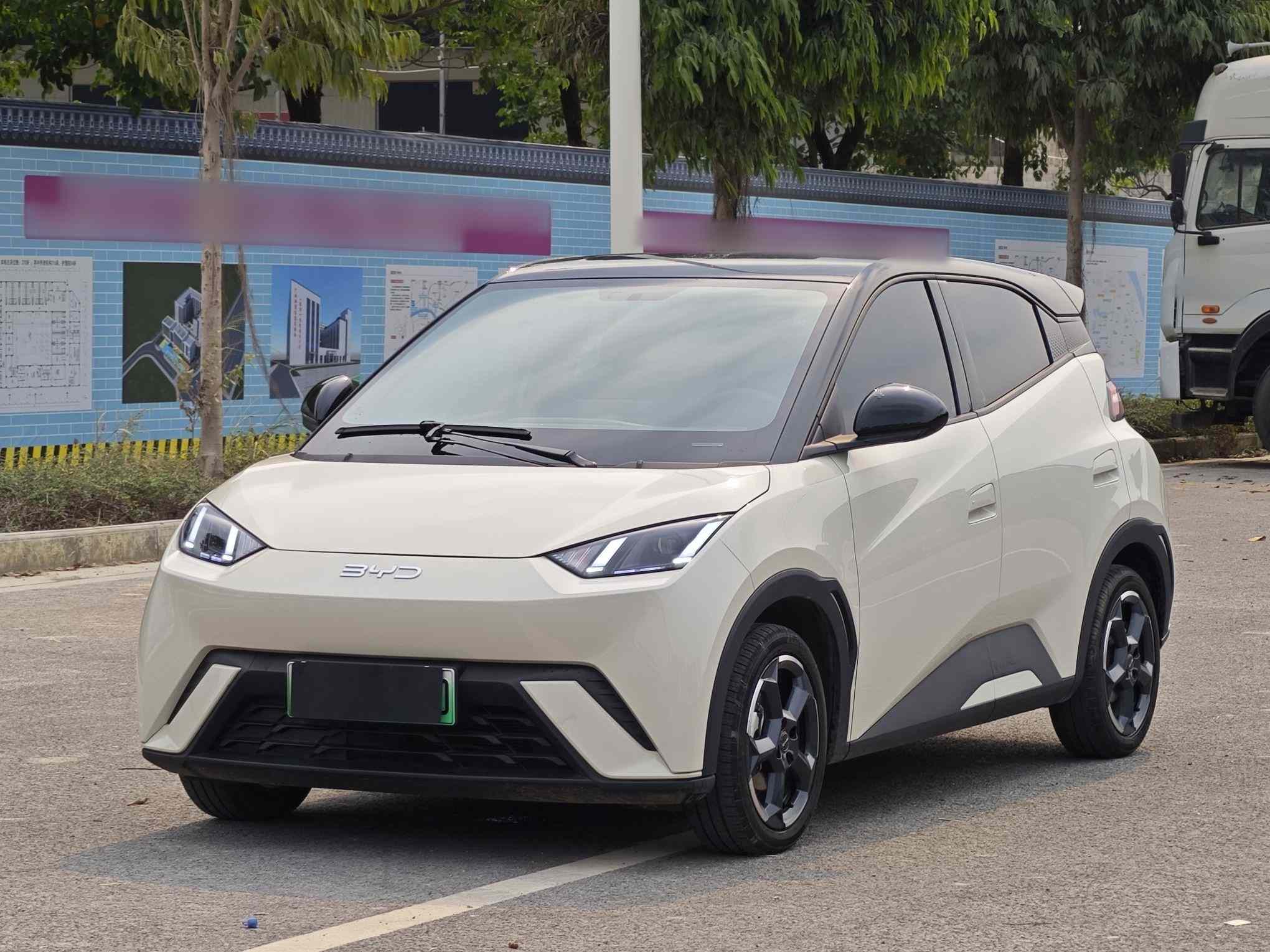 比亚迪 海鸥 2024款 荣耀版 305km 自由版(1)
