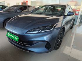 比亚迪 海豹06新能源 2024款 DM-i 80KM尊贵型