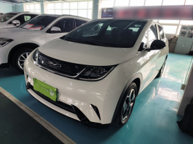 比亚迪 海豚 2021款 405km 时尚版