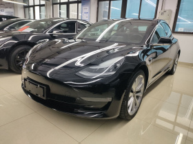 特斯拉 Model 3(进口) 2019款 长续航全轮驱动版