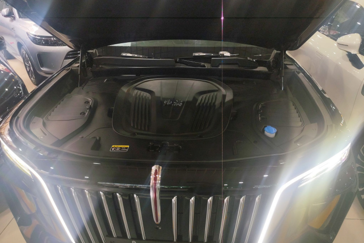 红旗E-HS9 2021款 460km 旗享版 六座机舱底盘24