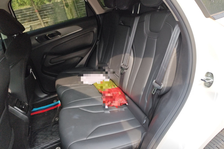 哈弗枭龙 2023款 1.5L 110KM领航版中控内饰21