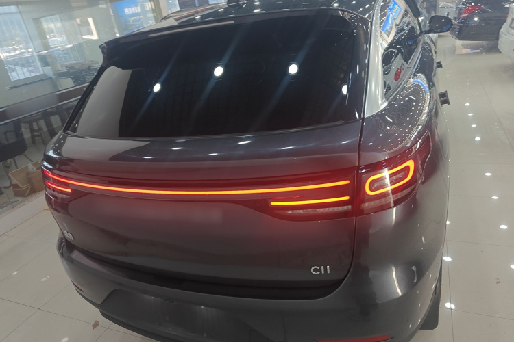 零跑汽车 零跑C11 2024款 纯电 580尊享版车身外观6