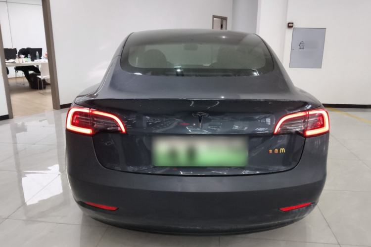 特斯拉 Model 3(进口) 2019款 长续航后驱版车身外观6