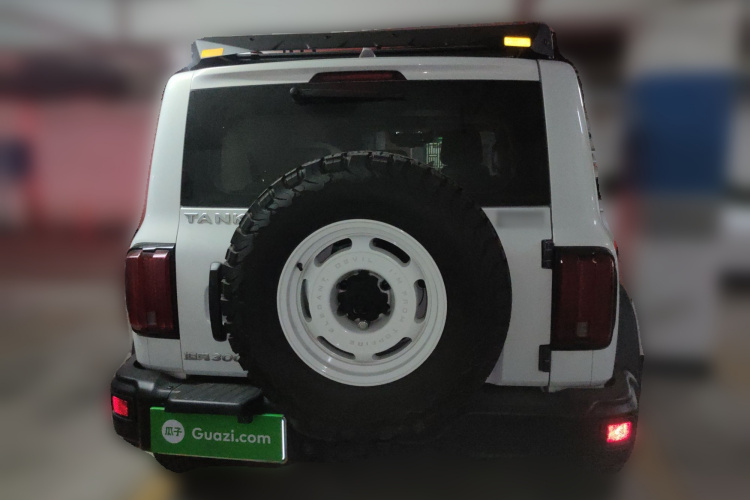 坦克300 2023款 2.0T 铁骑02车身外观6