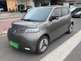 欧拉白猫 2020款 360km 豪华型