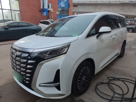 腾势D9 2024款 DM-i 980 四驱尊贵型