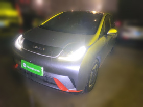 比亚迪 海豚 2021款 405km 时尚版