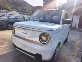 吉利银河 2024款 熊猫mini 200km 耐力熊