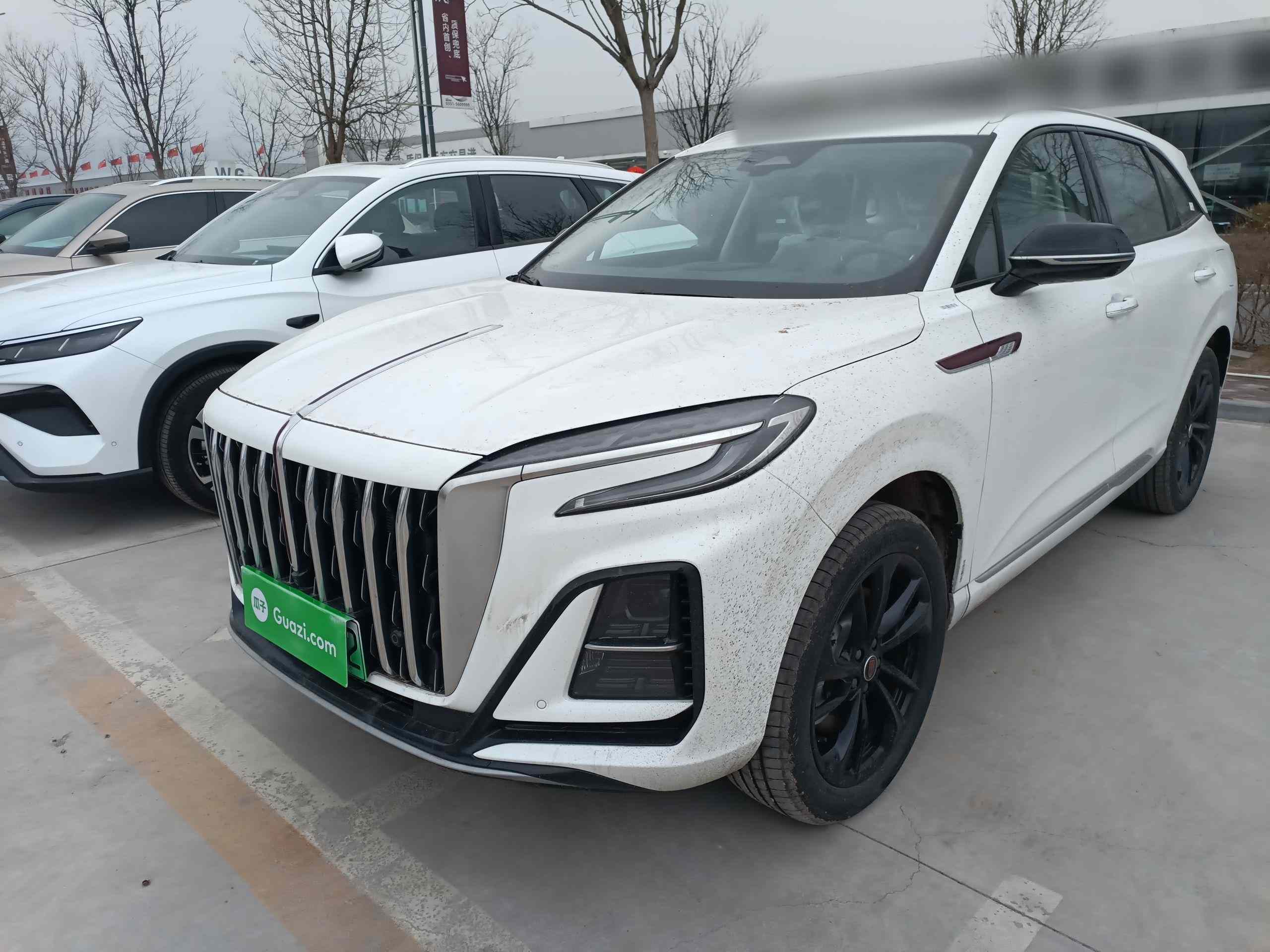 红旗HS3 PHEV 2025款 117km 劲为PLUS版(2)