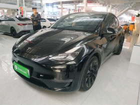 特斯拉 Model Y 2021款 标准续航后驱版