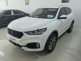 魏牌 VV6 2018款 2.0T 两驱超豪型 国V