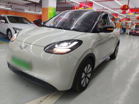 五菱汽车 五菱缤果 2024款 333km 灵犀互联款