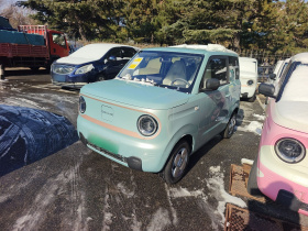 吉利银河 2024款 熊猫mini 200km 耐力熊