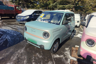 吉利银河 2024款 熊猫mini 200km 耐力熊