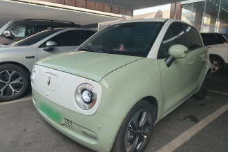 欧拉黑猫 2021款 405km 长续航型