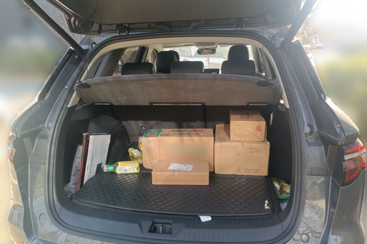 比亚迪 宋Pro新能源 2019款 EV 高功率高续航版旗舰型局部细节23