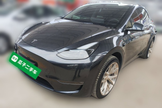 特斯拉 Model Y 2024款 长续航全轮驱动版