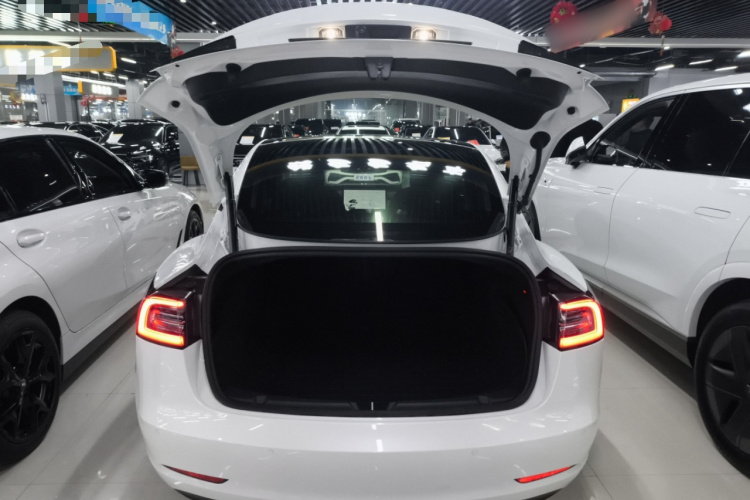 特斯拉 Model 3 2020款 改款 标准续航后驱升级版局部细节23