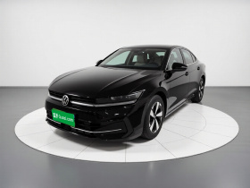 大众 迈腾 2024款  300TSI DSG尊享版显眼包