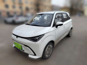 凯翼拾月 2026款 Mate 300km 宁德踏浪版