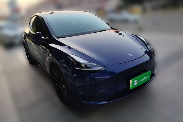 特斯拉 Model Y 2021款 长续航全轮驱动版车身外观6002