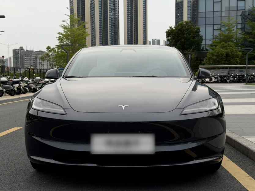 特斯拉 Model 3 2023款 长续航全轮驱动版(4)