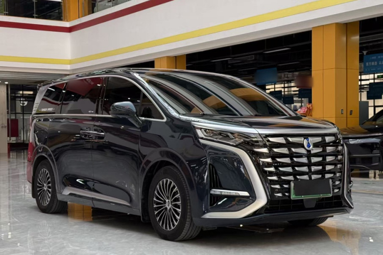 腾势D9 2024款 DM-i 980 四驱旗舰型车身外观6004