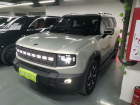 捷途山海T1 2024款 150km 向海