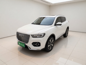哈弗H6 2021款 1.5GDIT 自动冠军版
