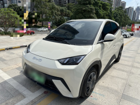 比亚迪 海鸥 2023款 活力版