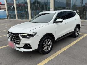 哈弗H6 2021款 国潮版 1.5T 自动冠军版