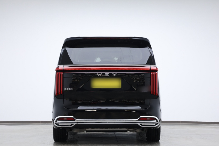 魏牌 高山 2023款 四驱旗舰版车身外观6009