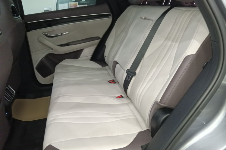 比亚迪 宋PLUS新能源 2025款 DM-i 智驾版 112KM 尊荣型中控内饰21