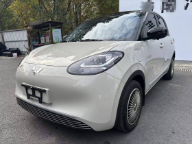 五菱汽车 五菱缤果 2024款 203km 轻享款