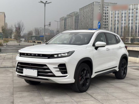 星途追风 2023款 1.6T DCT乘风起版