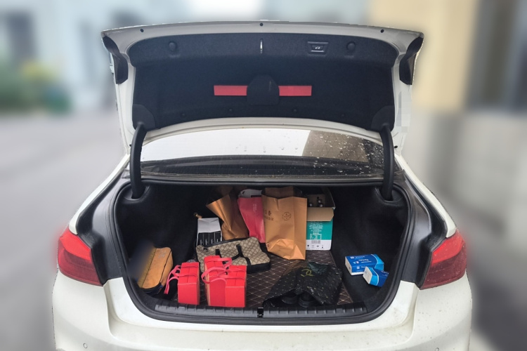 宝马5系 2020款 525Li M运动套装局部细节23