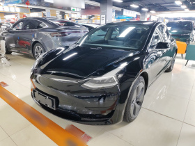 特斯拉 Model 3 2020款 改款 标准续航后驱升级版