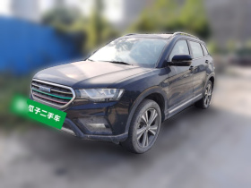 哈弗H6 Coupe 2015款 蓝标 2.0T 自动两驱精英型