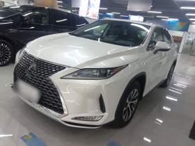 雷克萨斯RX 2020款 改款 300 两驱舒适版