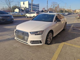 奥迪A4L 2018款 30周年年型 45 TFSI quattro 个性运动版