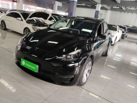 特斯拉 Model Y 2022款 改款 长续航全轮驱动版