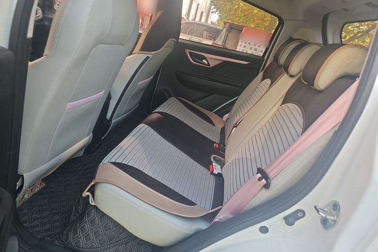 思皓 2022款 花仙子款 四叶草中控内饰7004