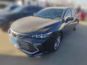 丰田 亚洲龙 2019款 2.5L 进取版 国VI