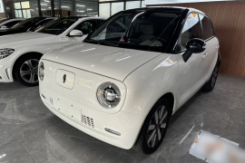 欧拉黑猫 2019款 351km 灵智版