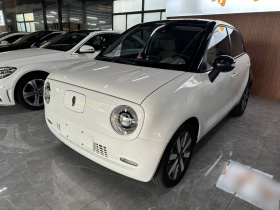 欧拉黑猫 2019款 351km 灵智版