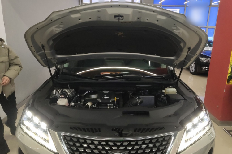 雷克萨斯RX 2020款 改款 300 四驱典雅版局部细节24